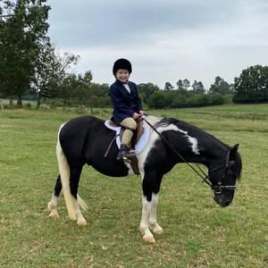 Meet your Posher, Debbie